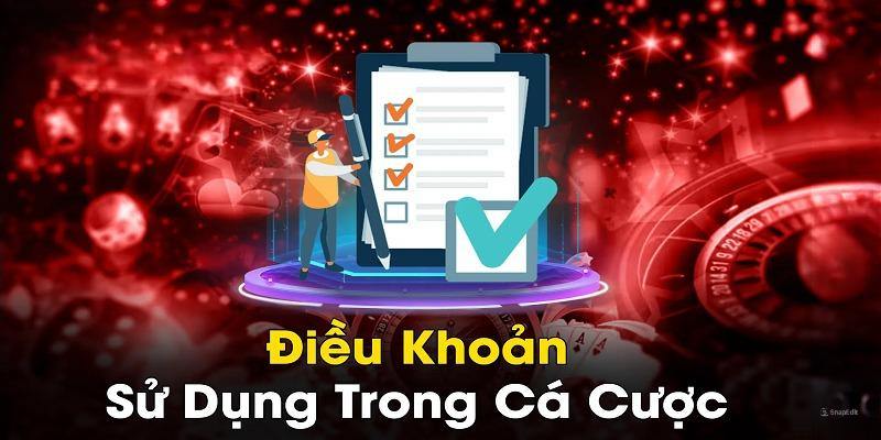 Nội dung quan trọng cần nắm tại điều khoản sử dụng