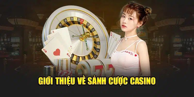 Giới thiệu sảnh cược casino 77bet hấp dẫn 