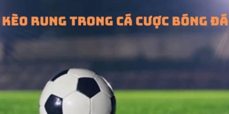 Cách đọc kèo rung chuẩn